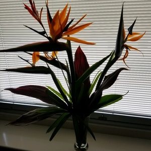 Meet your Posher, M p